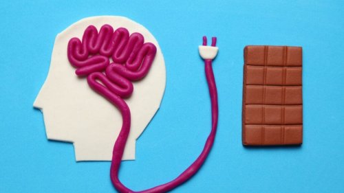 Study Shows How Sugar Alters Our Brains