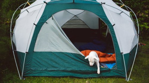 The Best Tents for Camping in Comfort and Style