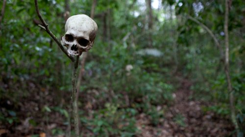 A Terrifying Journey Through the World’s Most Dangerous Jungle
