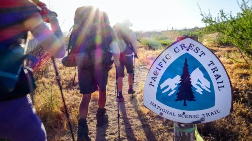 Hiking the Pacific Crest Trail: A Beginner’s Guide