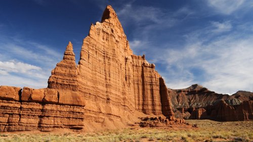 Who Cut a 200-Million-Year-Old Fossil Out of the Rock in Capitol Reef National Park?