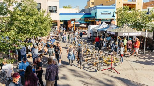 The Best Local Bike Shops Across America
