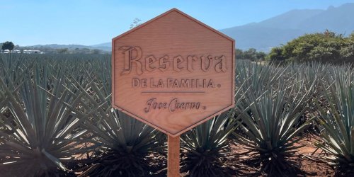 Visiting Mexico with José Cuervo Reserva de la Familia