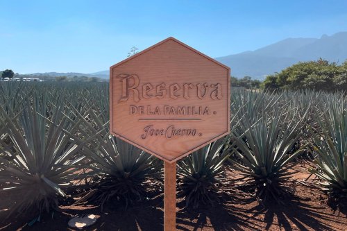 Visiting Mexico with José Cuervo Reserva de la Familia - outvoices.us