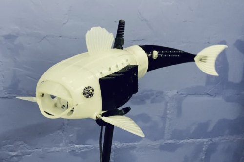 Robo Fish: filtra microplásticos y puedes imprimir en casa
