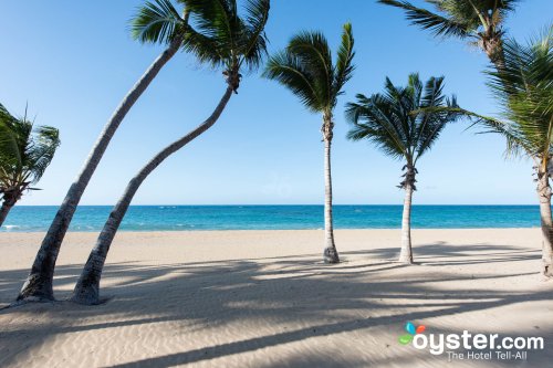 The Best Time to Visit the Dominican Republic