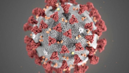 Coronavirus: 60 weitere Neuinfektionen im Kreis Aurich registriert