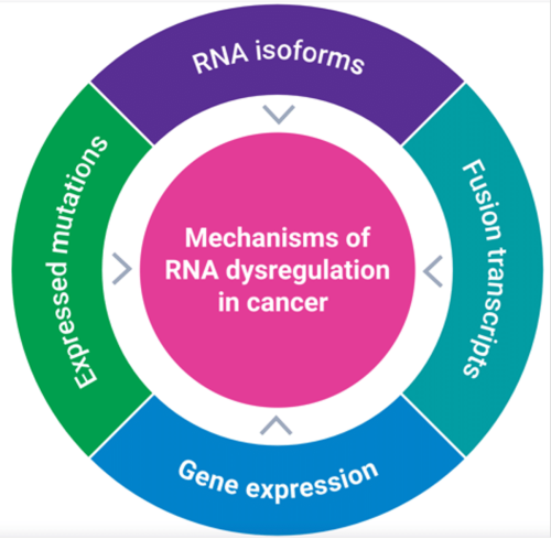 Long-read sequencing: the key to a more complete cancer transcriptome - PacBio