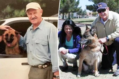 Gene Hackman’s dog likely died of starvation and dehydration, showed partial mummification, report says