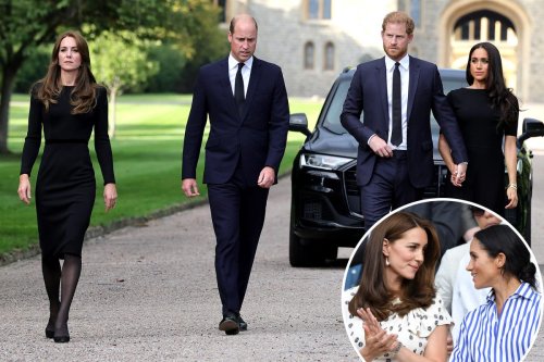 Kate Middleton Hopes To Extend An olive Branch To Meghan Markle 