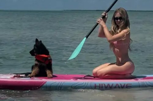 Bikini-clad Sydney Sweeney paddle boards with her adorable puppy and more star snaps