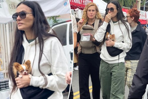 Demi Moore carries dog like baby — while shopping with actual baby granddaughter