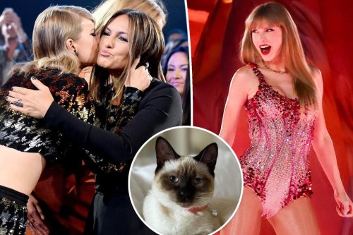 Taylor Swift has the best reaction to Mariska Hargitay naming her cat Karma