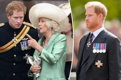Prince Harry said ‘nasty things’ about Queen Consort Camilla: biographer