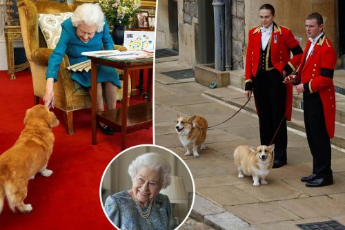 Queen Elizabeth II’s beloved corgis were in the room when she died