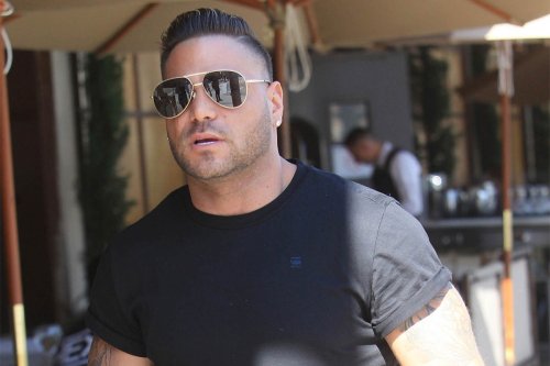 'Jersey Shore' star Ronnie Ortiz-Magro in police custody ...