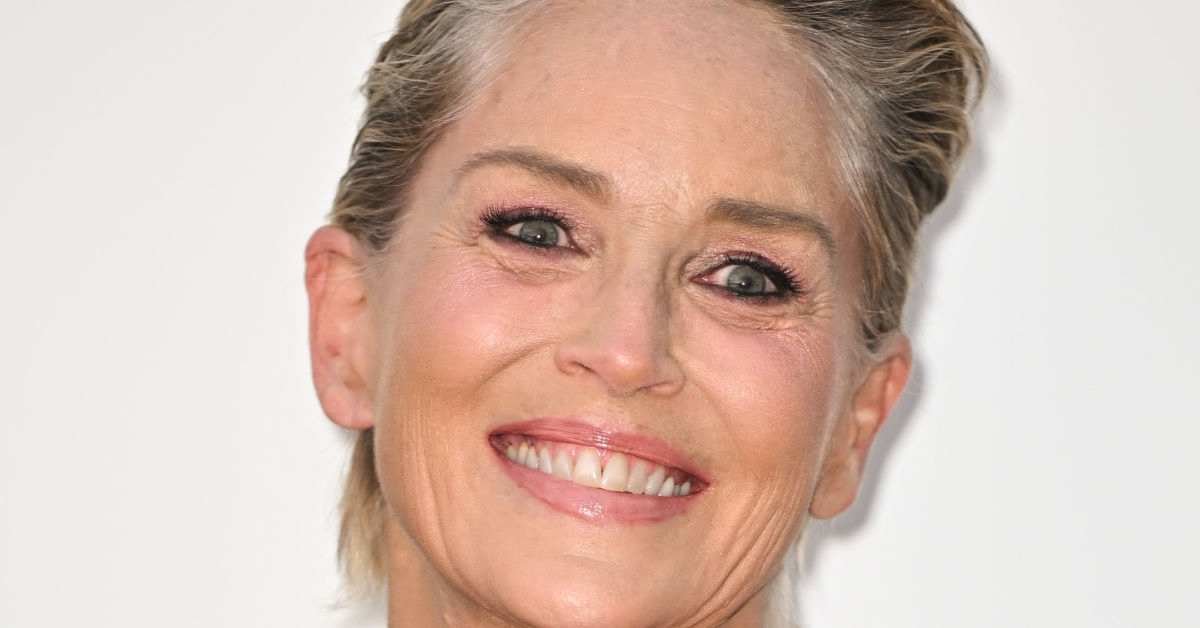 Sharon Stone Divides the After Issuing Strong Political
