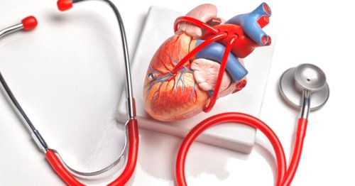 This Daily Habit May Reduce Your Risk of Heart Disease—and No, It's Not Exercise