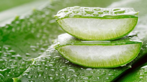 Only Using Aloe Vera for Sunburns? Here's What Else It Can Do for Your Skin and Hair