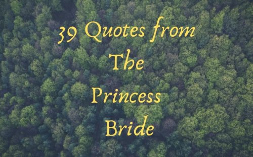 As You Wish, Here Are 39 Quotes from 'The Princess Bride'