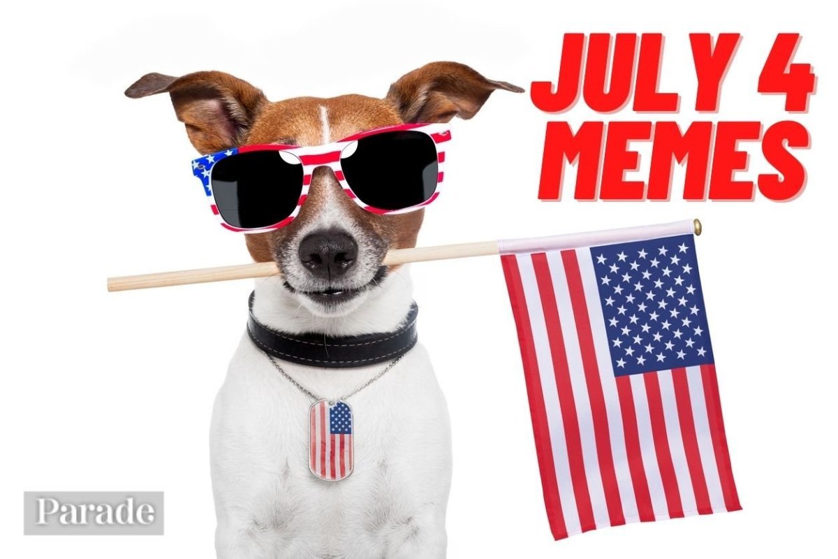 50 4th of July Memes to Help You Celebrate American Independence and the Funniest Parts of Freedom