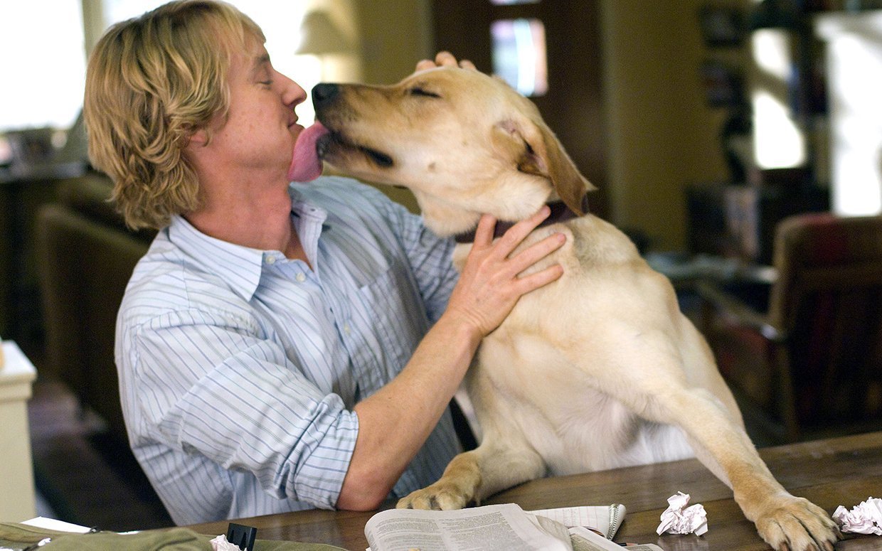 30 Best Dog Movies of All Time Flipboard