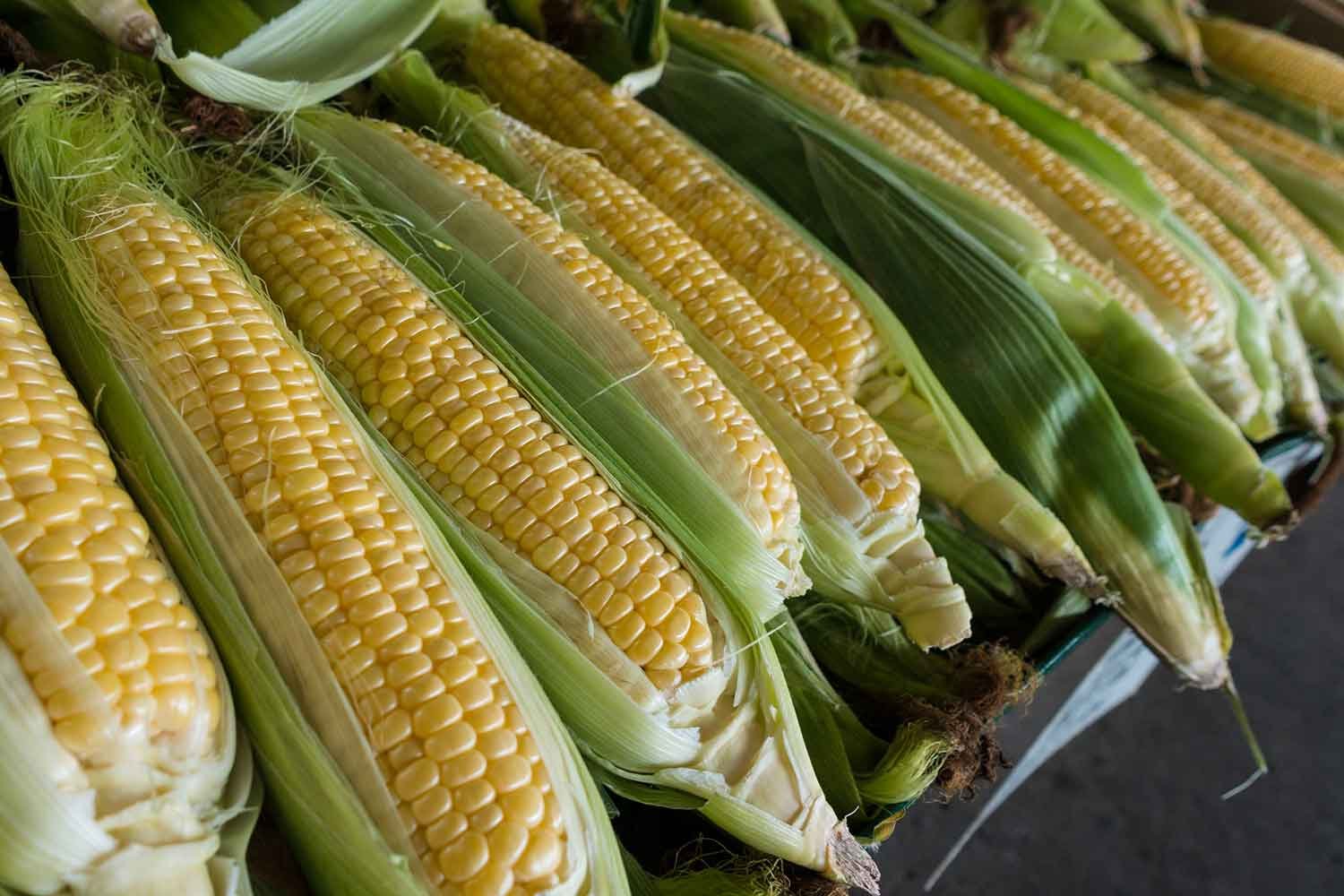 How to Freeze Corn on the Cob So It's Just as Sweet and Delicious as the Day It Was Shucked
