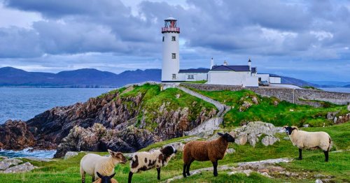 The One Surprising Irish Travel Destination Everyone Should Visit at Least Once, According to Getaway Guru Mickela Mallozzi