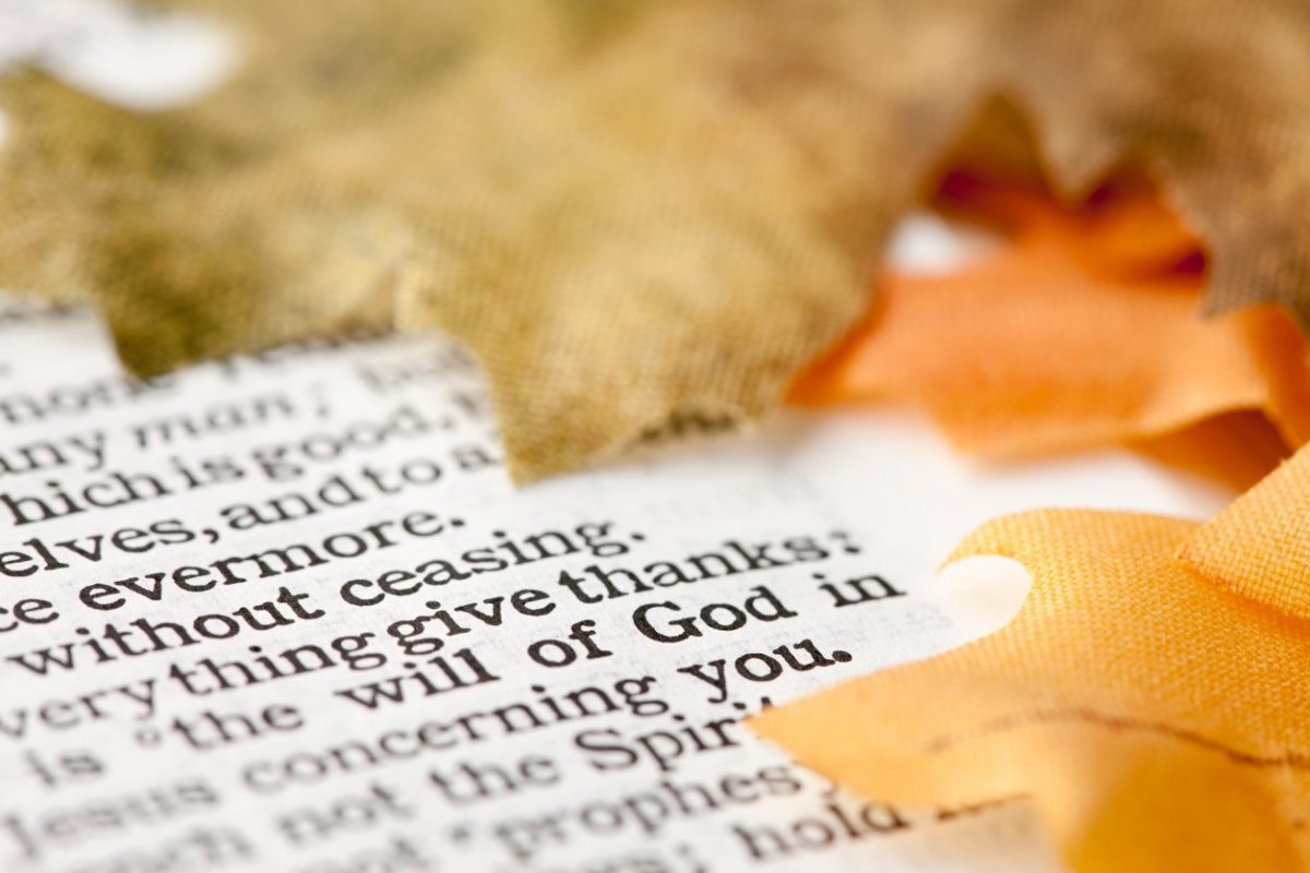 50 Perfect Bible Verses About Gratitude