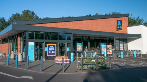 Aldi Is Selling a Stylish $20 Wooden Planter With a Trellis So Similar to Home Depot and Wayfair Styles up to 7x the Price