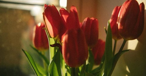 3 Zodiac Signs Destined for Love in April, According to Astrologers