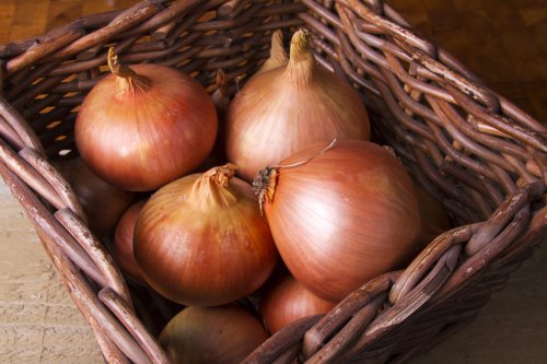 How To Store Every Type of Onion To Make Them Last Longer