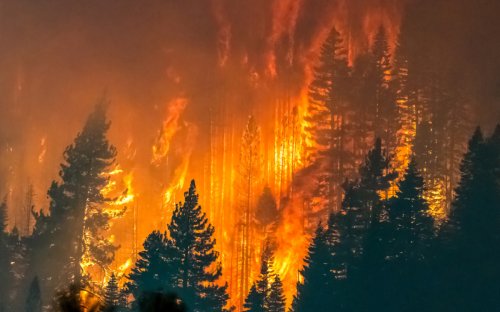 Why Do So Many Forest Fires Happen in California?