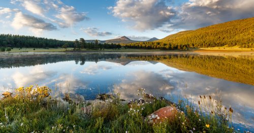 This New Mexico Secret Is the ‘American Serengeti’ You’ve Never Seen