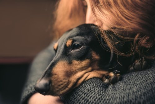 6 Signs You're Actually *Too Affectionate* With Your Dog, According to a Pet Behavior Specialist