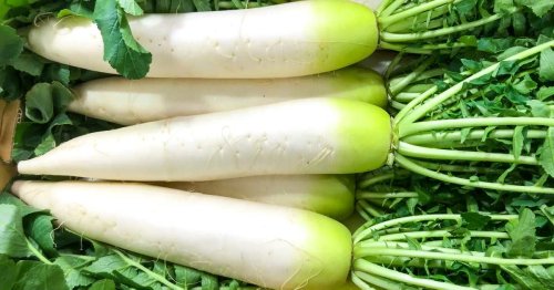 All About Daikon Radishes, the Versatile Veggie You Should Be Using More Often