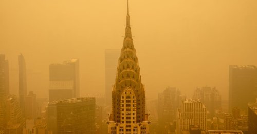 All the Events Canceled in New York Due to the Air Quality Crisis