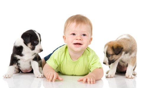 Mom Shows How Her Toddler Is the Ultimate Puppy Whisperer and It’s Precious
