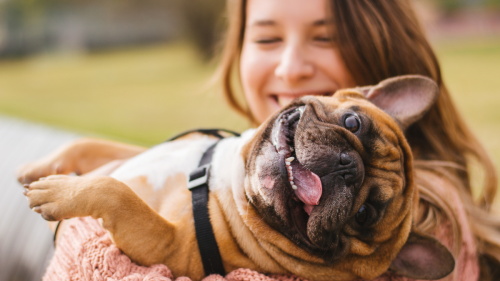 Fascinating Research Shows Dogs Actively Try to Make Humans Laugh