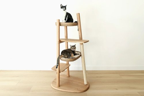 This Chic Cat Tree Is Perfect for Multi-Cat Households