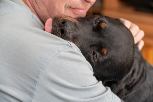 Rottweiler Showers New Forever Family with Kisses of Pure Gratitude During First Meeting