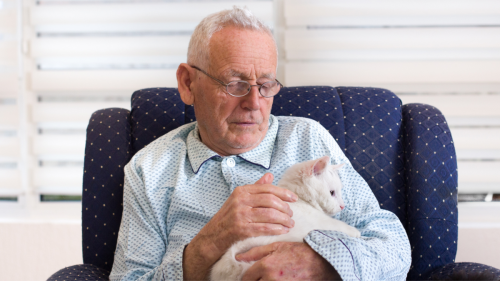 92-Year-Old Grandpa's Sweet Bond with Kitten Is So Wholesome