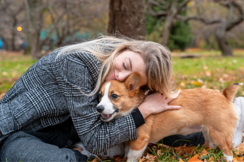 10 Scientifically Proven Activities That Make Dogs Happiest