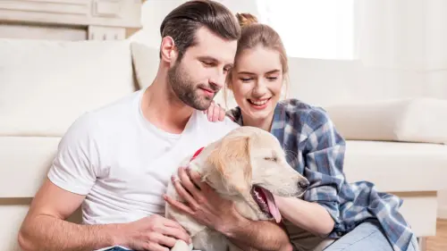 19 Genius Budget-Friendly Pet Care Hacks to Slash Your Costs