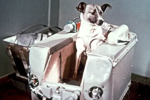 La Storia di Laika, il cane astronauta che ha viaggiato nello spazio