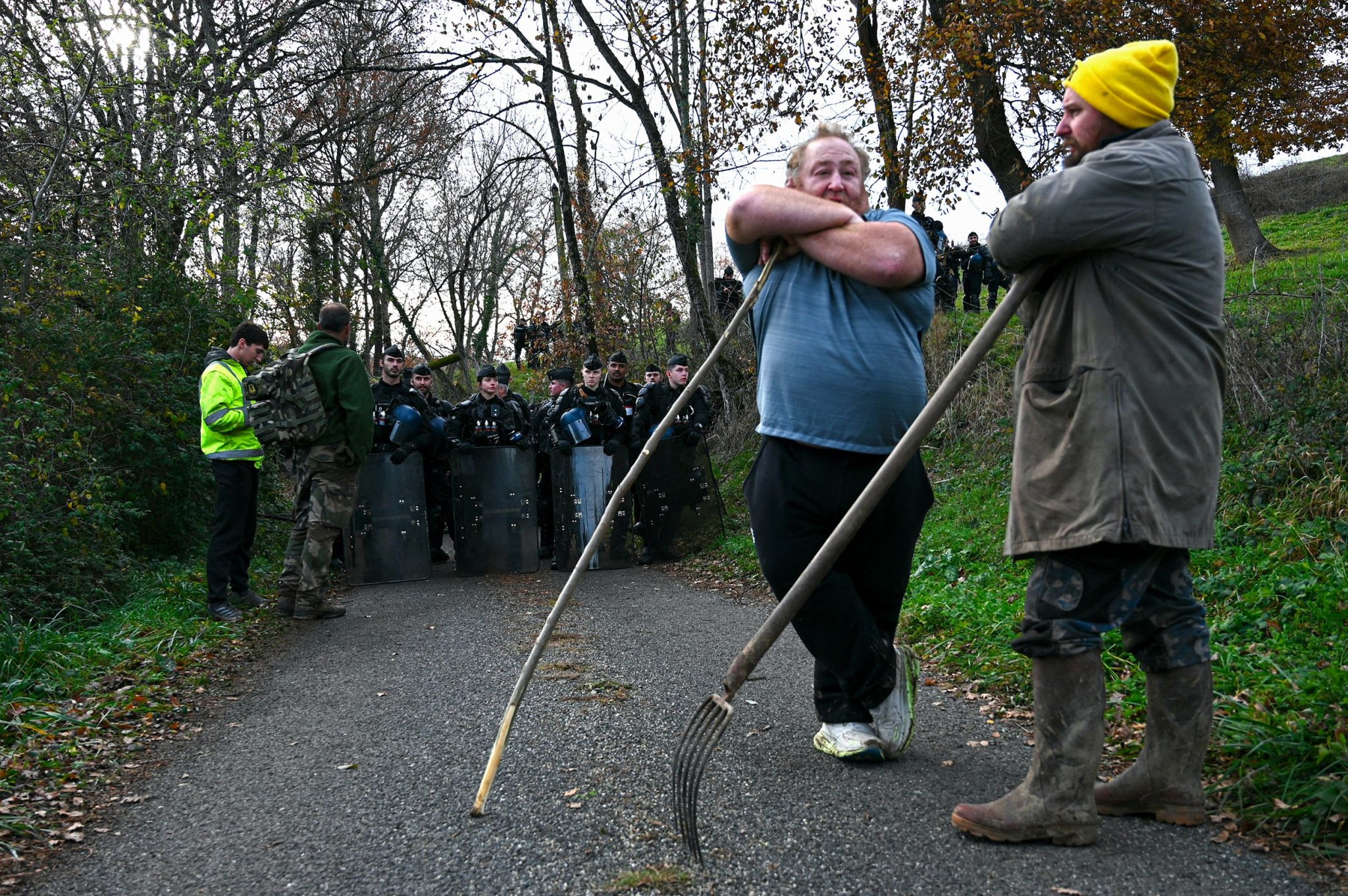 Troupeau de vaches abattues : la colère monte en Ariège