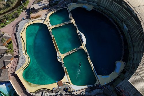 Les images déchirantes des orques abandonnées dans les bassins déserts du MarineLand