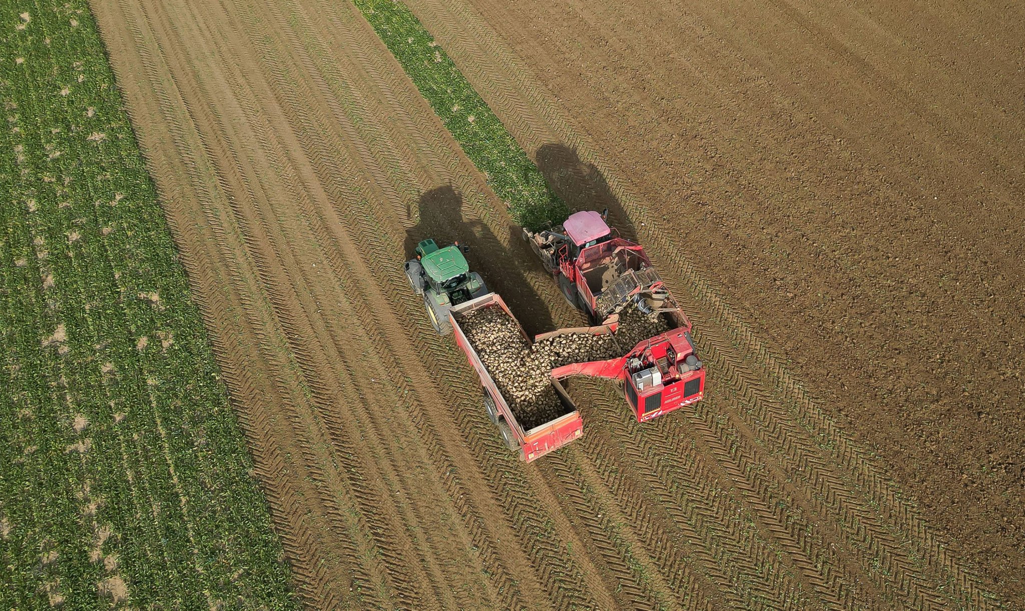 En Charente-Maritime, un agriculteur tue son voisin avant de se suicider en se jetant sous un train