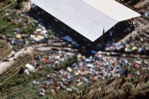 Jonestown, le plus grand suicide collectif de l'Histoire : 900 morts dont 300 enfants