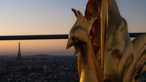 Saviez-vous qu'un coq doré trône tout en haut de la flèche de la cathédrale Notre-Dame ?